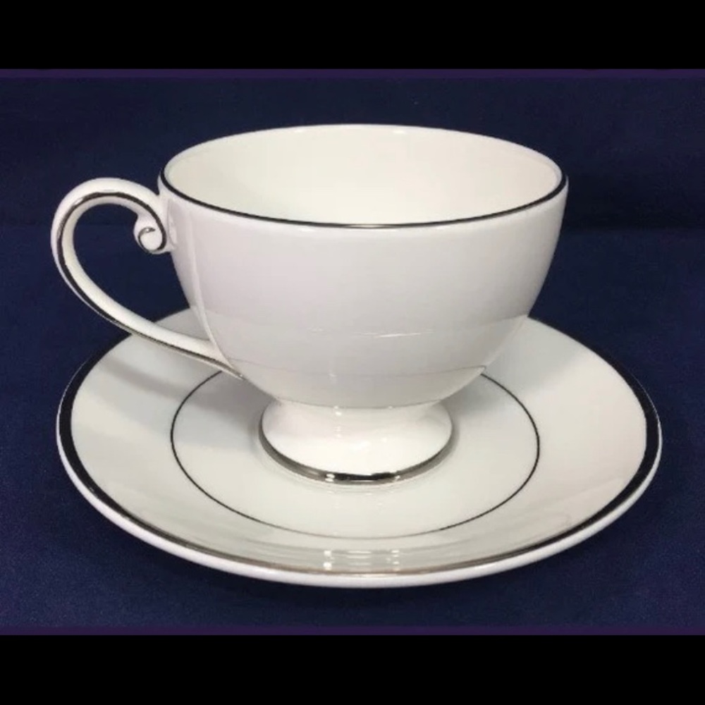Mikasa Cameo Platinum Teacup & Saucer Fine China